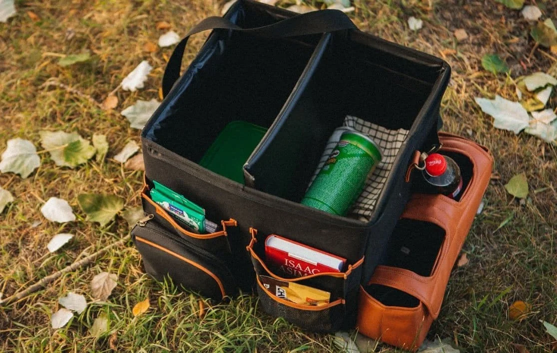 trunk organizer for Lexus RX