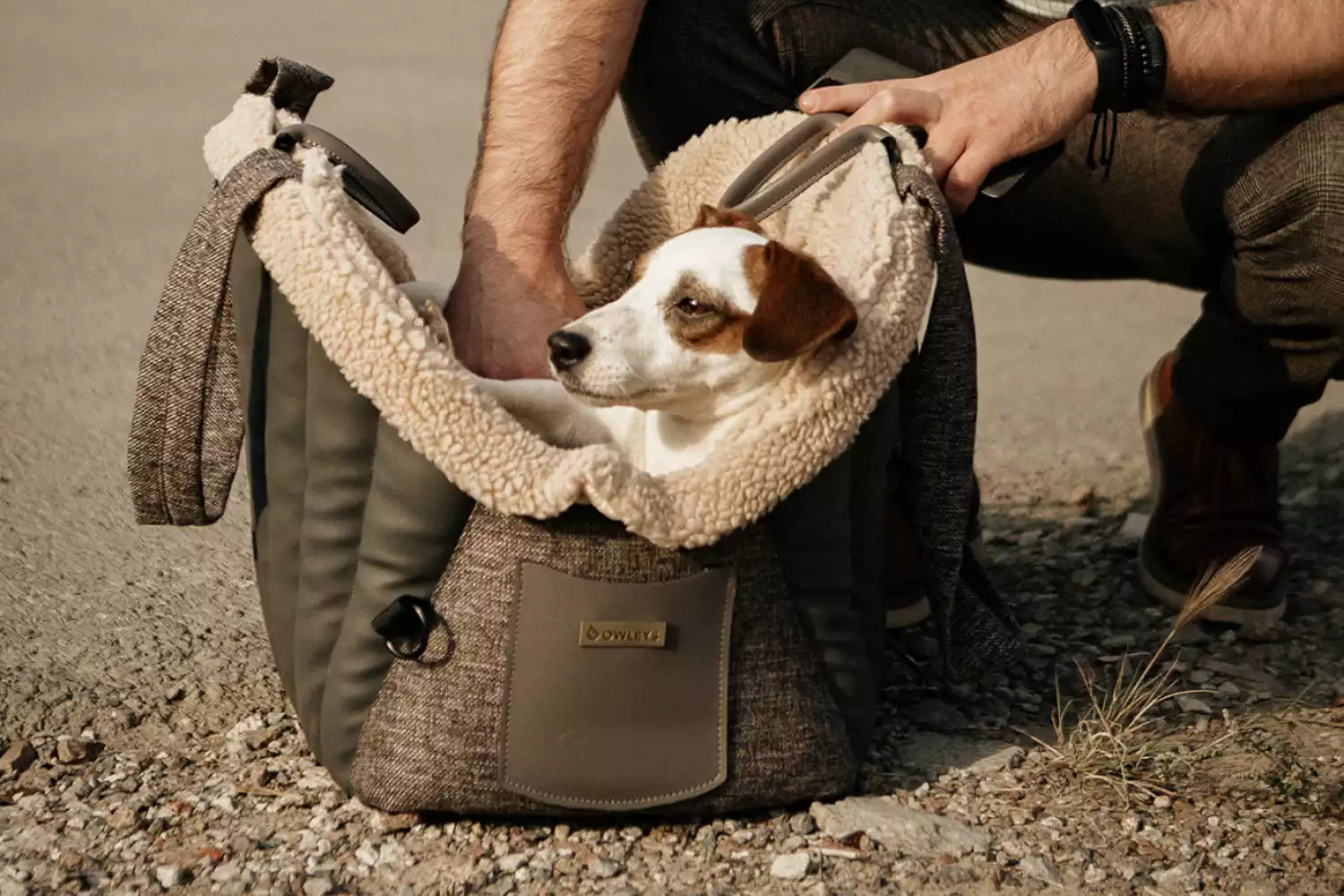 Austrian Pinscher Dog Carrier Car Seat for Kia Sorento